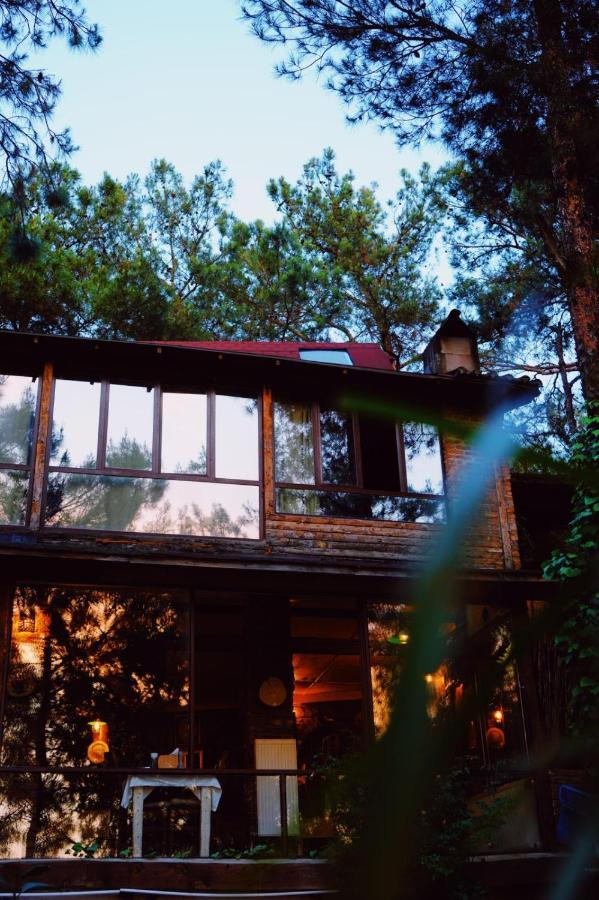 Kayserkaya Cottages Selçuk Kültér fotó